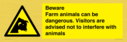 beware-farm-animals-can-be-dangerous-visitors-are-advised-not-to-interfere-with-~